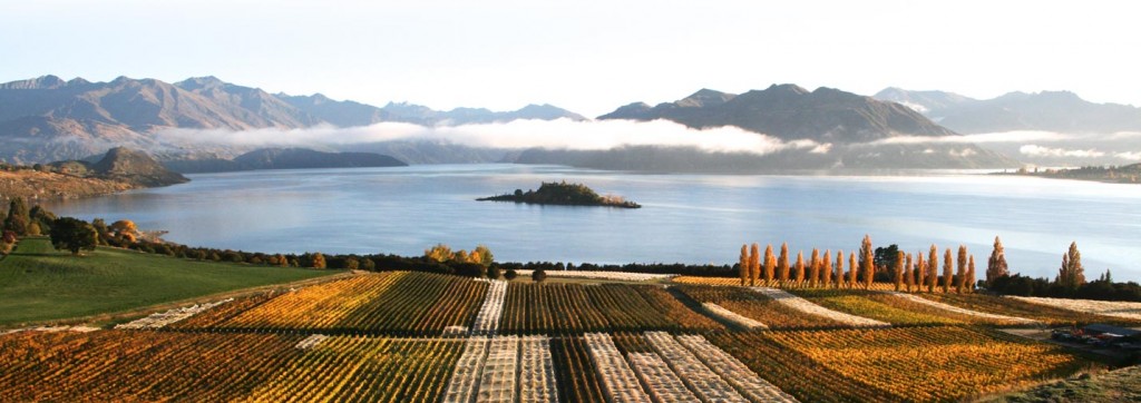 Rippon Vineyards